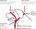 Beaphar | Gentle Leader | Head Collar for Small Dogs | Stops Pulling On The Lead | Training Aid with Immediate Effect | 
