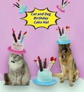 Cute Pet Party Hat for Dogs&Cats - Soft Fluffy Birthday Cap with 5 Color Candles (Blue), Adjustable Strap for Halloween,Costume&Photo Shoots,Fits Small to Large Pets,Washable&Comfortable (Blue)