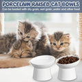Tanlade 4 Pcs Ceramic Raised Cat Bowls, Elevated Tilted Cat Bowl for Food Water, Stress Free, Backflow Prevention, Dishwasher Microwave Safe, Feeder Dish for Indoor Kitten, Small Dogs(White)