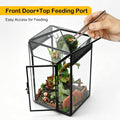Glass Jumping Spider Enclosure Kit, 5.1 x 4.1 x 7.6 in Gothic Tank