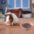 3 Pcs Guinea Pig Food Bowl Heart Hamster Food Water Bowl Plate Plastic Anti-Turning Water Dish Gerbil Drinking Bowls for