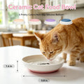 [4 Pack] Ceramic Cat Bowls, Cat Dishes with Non-Slip Silicone Bottom