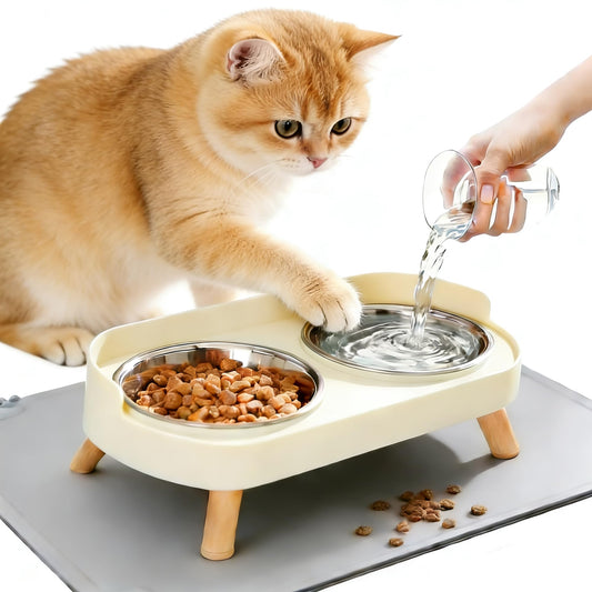 DIRZHX Elevated Cat Bowls with Food Mat, Splash Proof Anti Vomiting Raised Cat Food and Water Bowl Set, 2 Stainless Steel Dishes for Cats and Puppy, Pet Bowl for Indoor Cats White