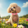 Babole Pet Pink Checkerboard Dog Collar, Classic Girly Plaid Dog Collars, Adjustable Heavy Duty Girl Dogs Collar for Small Medium Large Dogs with Metal Buckle M