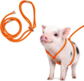 Pig Harness and Leash for Mini Pig, Goat
