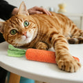 Zyghjort 2 PCS Kitten Teething Toys for Indoor Cats, Cat Chew Toy Natural Sisal Cat Teething Toys Orange Carrot Interactive Cats Kicker Toy Interactive Kitten Kicker for Indoor Kitty Exercise