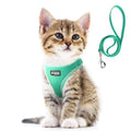 Fida Cat Harness and Leash Set for Walking Kitten and Puppy, Escape Proof Kitten Harness with Breathable Lightweight Soft Mesh, Adjustable Reflective Step-in Design. (XXXS, Green)