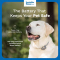 Invisible Fence Brand Power Cap Battery, 2-Pack