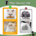 4-Pack Stainless Steel Cat Food Bowls, Whisker-Friendly Plates