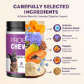TTLXRL Probiotics for Dogs 200pcs Dog Probiotics for Digestive Health Digestive Enzymes and Prebiotic, Probiotic Chews for Dogs Support Gut Health, Relieve Diarrhea, Itchy Skin, Enhance Immunity