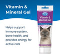 PetAg Vitamin & Mineral Gel Supplement for Cats - 3.5 oz - Provides Basic Daily Vitamins & Minerals for Cats 4 Months and Older - Easy to Digest