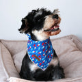 lionet paws Patriotic 4th of July Dog Bandana Summer Popsicle for Small Medium Large Dogs, Cat Dog Kerchief Triangle Bibs Scarf for Male Female