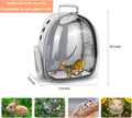 Bearded Dragon Carrier with Harness and Leash Small Pet Carrier