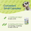 Virbac NEPHRODYL® Synbiotic Capsules - Kidney Support Supplement for Cats & Dogs, Probiotics & Prebiotics for Digestive Health, Small & Easy-to-Swallow Capsules, Made in The USA