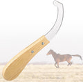Bot Egg Knife for Horses, Horse Farrier Tool Grooming Bugs, Stainless Steel Blade with Wood Handle, Precision Grooming T