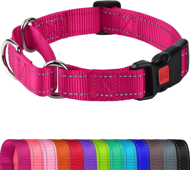 Joytale Martingale Collar for Dogs, Reflective Escape Proof Training Dog Collars with Safety Lock Buckle, No Slip Soft Nylon for Medium Pets, Hotpink, M