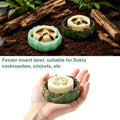 5Pcs Dubia Cockroach Water Basin Loofah & Resin Food Bowl Container Set, Comfortable Habitat for Roaches Live Isopods Sp