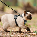 Cat Harness, Cat Harness and Leash for Walking, Adjusted in Four Directions and Breathable Cat Harness for Anti Escape t