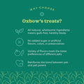 Oxbow Simple Rewards Guinea Pig & Rabbit Treats, Apple Banana, Baked, 3 oz