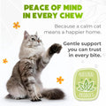 ZENO Calming Chews for Cats, Hemp Anxiety Relief with Melatonin
