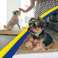Muddy Mat® | Super Water Absorbent Door Mat Indoor, Microfiber Quick Dry Chenille Entryway Rug, Slip Resistant Front Doo