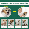 Dog Muzzle Medium Sized Dogs - Soft Muzzle for Medium Sized Dog with Air Mesh | Mussle to Stop Biting Barking and Chewin