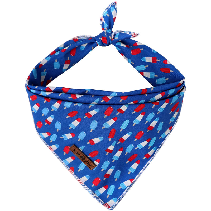 lionet paws Patriotic 4th of July Dog Bandana Summer Popsicle for Small Medium Large Dogs, Cat Dog Kerchief Triangle Bibs Scarf for Male Female