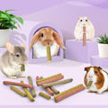 Bissap 36PCS Rabbit Chew Sticks, Mixed Natural Timothy Hay Oat Carrot Bunny Chew Toys and Treats for Rabbits Bunnies Chi
