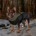 IECOii Extra Warm Reflective Adjustable Dog Jacket - Fleece Turtleneck Dog Jacket for Cold Weather Soft Winter Coat for Small, Medium & Extra Large Dogs