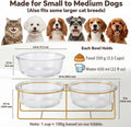 Elevated Dog Bowl Set of 2 - Double Glass Bowls with Gold Iron Stand - Raised Dishes Comfortable Feeding - Ideal for Sma