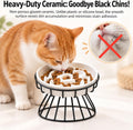 Raised Slow Feeder Cat Bowl - Ceramic Cat Slow Feeders with Stand - White