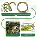 PINVNBY 10 PCS Reptile Plants Vine, Terrarium Hanging Flexible Climbing Artificial Leaves Reptile Hide, Bearded Dragon T