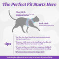 rabbitgoo Cat Harness and Leash, Step-in Escape Proof Kitten Harness Set, Soft Comfortable Cat Vest, Easy to Wear and Adjust, Reflective for Safe Outdoor Walking, Purple, Small