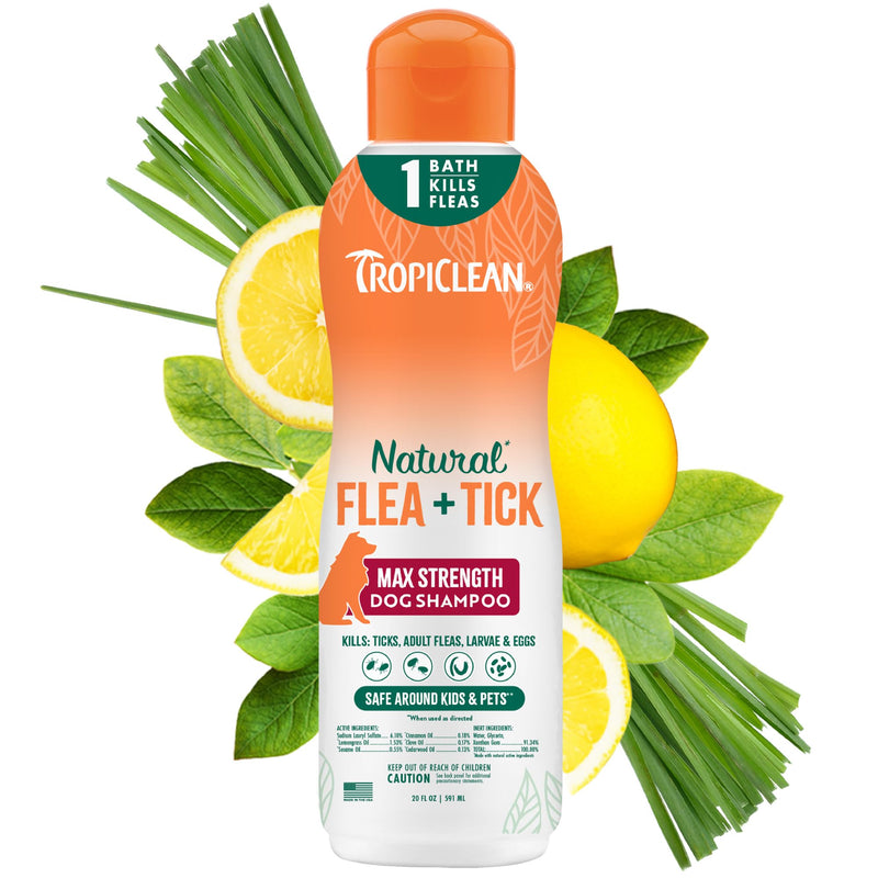 TropiClean Max Strength Flea and Tick Shampoo Treatment for Dogs, Powerful & Natural Defense, Prevention for Large & Small Dogs, Made in USA, 20oz