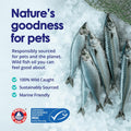 Wild Omega 3 Fish Oil for Dogs - Dog Fish Oil Liquid to Reduce Shedding & Itching - Supports Joints, Brain, and Heart He