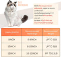 Hillban Cat Collar Diamond Chain Glitter Collar Walking Metal with Secure Buckle Cat Pet Necklace with Paw Charm and ID Tag Bell Link Cuban Jewelry Accessories Gift(10 Inch,Gold)