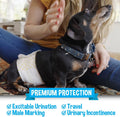 Bodhi Dog Disposable Male Dog Diapers - Super Absorbent, Leak-Proof Pee Wraps - Adjustable Fit, Comfortable Design, Adva