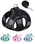 Solmoony Dog Harness for Small Medium Dogs No Pull, Puppy Harness and Leash Set, Puppy Harness, Step in Harness for Small Dogs,mesh Dog Harness. (Black, XS)