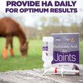 Hyalogic Hyaluronic Acid for Horses 90 Day Supply Easy Oral Tip Dispenser - Liquid HA Supplement for Equine Joints and C