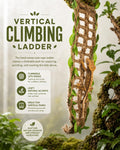 Crested Gecko Hide, Hanging Moss-Style Reptile Hideout with Rope Ladder, Crested Gecko Tank Accessories for Vertical Ter