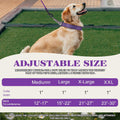 Martingale Collar for Dogs with Chain,Heavy Duty Dog Collar for Medium Dogs