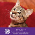 Wellness Healthy Indulgence Gravies Adult Wet Cat Food, Natural, Protein Rich, Grain Free, Tuna and Mackerel Recipe, 3 oz, Pack of 24 Pouches