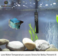 SunGrow Water Heater, 10W, Turtle Aquarum Tank, Cat & Dog Heated Bowl, Warm Water Encourage Drinking, Bird Fountain Deic