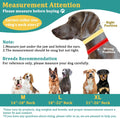 Mayerzon No Pull Collar for Large Medium Dogs Walking that Pull, Cyan, L
