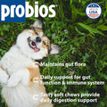 Probios for Dogs Soft Chews, Daily Probiotic Supplement for Gut Health, Digestion and Immune Support Medium and Large Breeds, Chicken Liver Flavor, 8.46oz 60 Chews