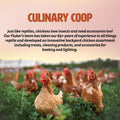 Fluker's Culinary Coop Premium Chicken Treats, Dried Soldier Worms, Packed with Protein and Calcium, 100% Natural Rich G