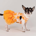 Fitwarm Pumpkin Flower Dog Dress, Thanksgiving Outfit for Small Dogs Girl, Fall Pet Outfit, Beige, Orange, Small