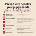 The Honest Kitchen Human Grade Wholemade Whole Grain Chicken & Salmon Dehydrated Puppy Dog Food, 7lb Bag (Makes 28lbs)