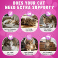 Taurine for Cats Vitamins Treats, 15 in 1 Cat Multivitamin Support Skin, Joint, Digestion & Immune Supplement, 500 Crunchy & Creamy Chews with Essential Vitamins for Cats of All Ages (90-Day Supply)