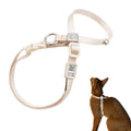 BuddyArmor Escape Proof Cat Harness Anti-Choke Quick Release Adjustable QR Code Soft Nylon Durable Lightweight Figure 8 Cat Harness Anti Escape for Kitten Small Medium Large Cats (Linen, M)
